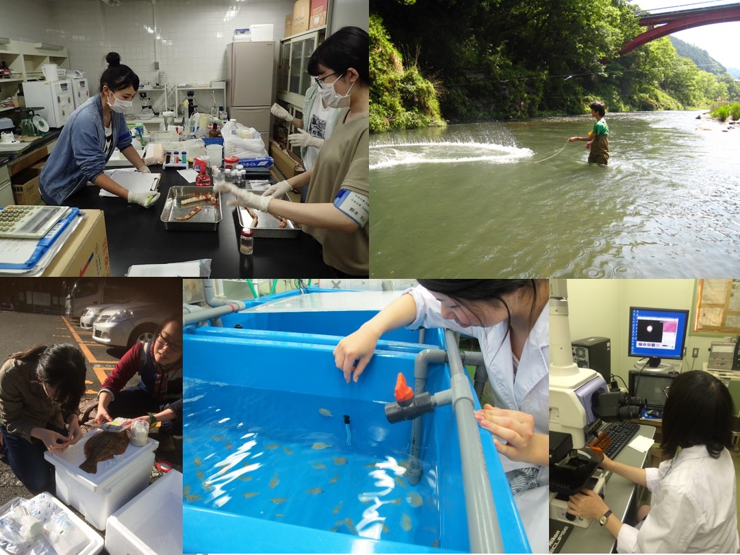 水圏生物病理学研究室