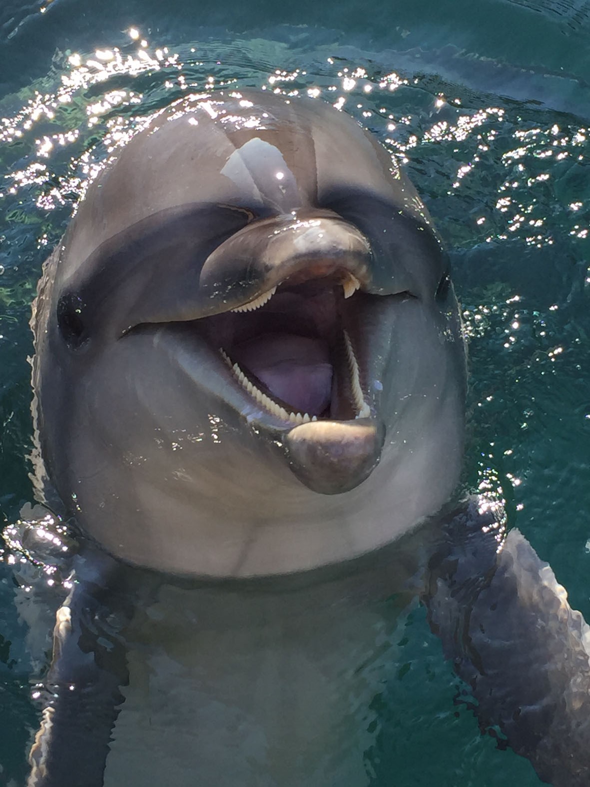 海洋生物生理学研究室