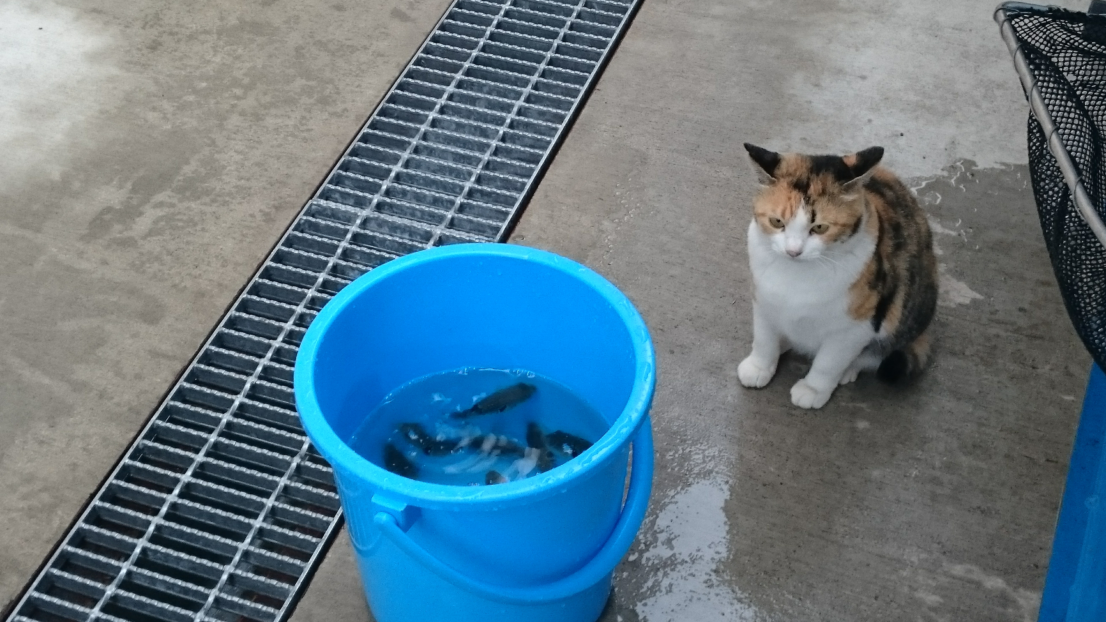 増殖環境学研究室