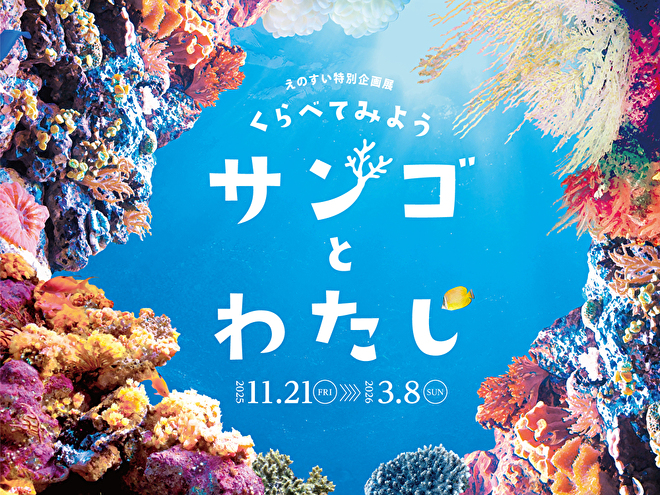藤井琢磨専任講師 新江ノ島水族館講演