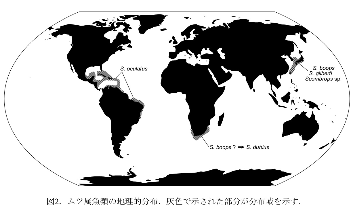 ムツ属魚類の地理的分布