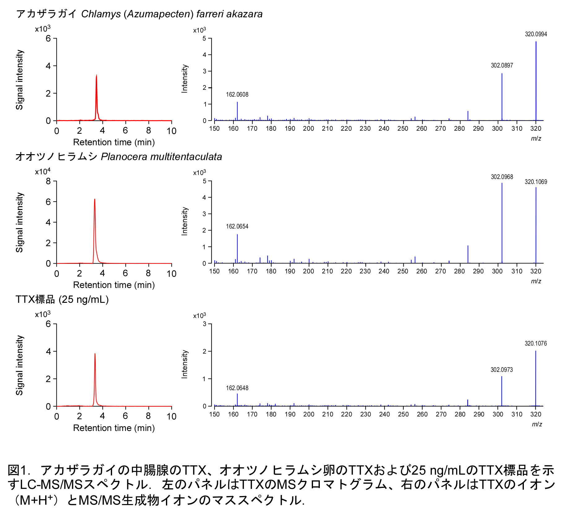 アカザラガイ中腸腺とオオツノヒラムシ卵のTTX LC-MS/MSスペクトル