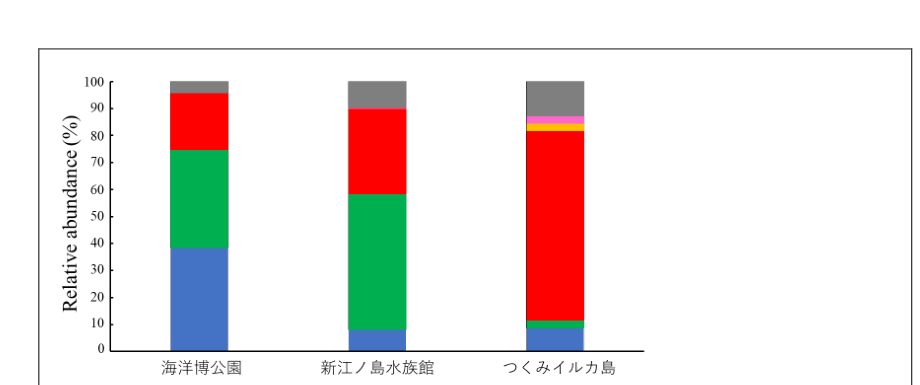 各飼育施設のバンドウイルカの腸内細菌叢組成（門レベル）