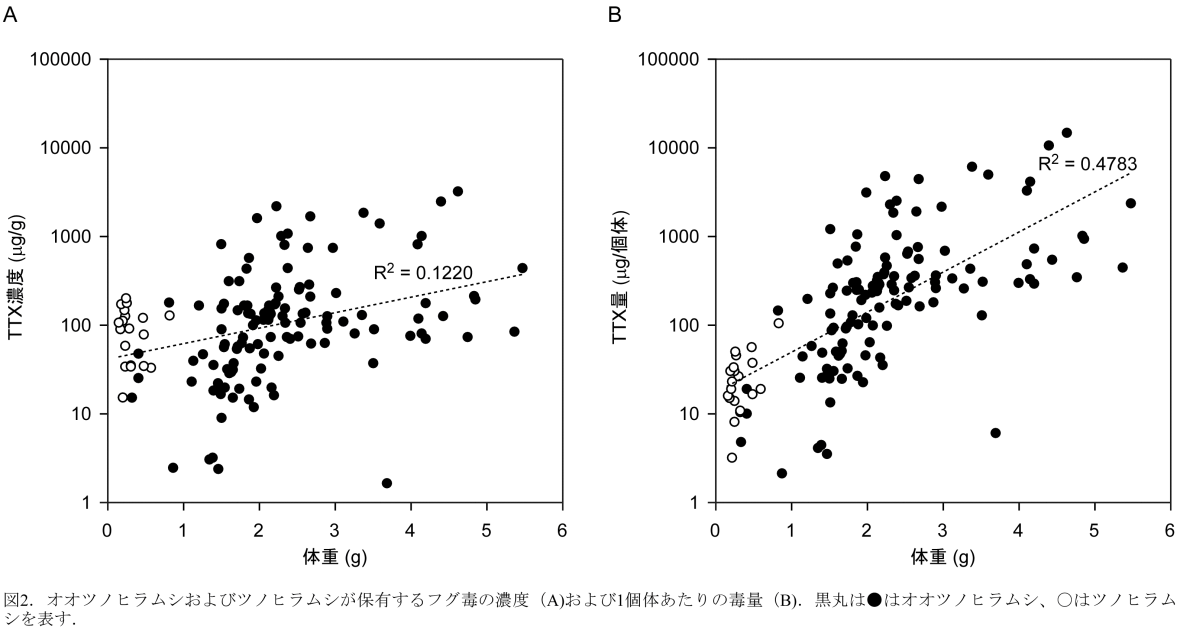 ヒラムシ2種の体重とTTX保有量の比較