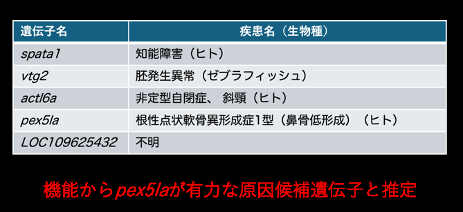 候補遺伝子と既知疾患との対応表