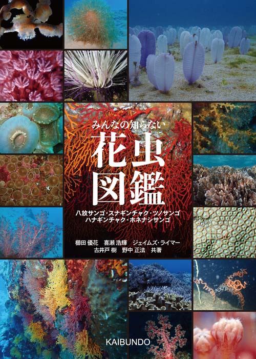 『みんなの知らない花虫図鑑』の書影