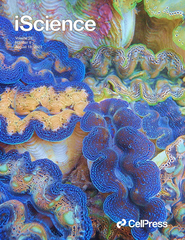 iScience誌の表紙に採用されたヒメジャコガイ