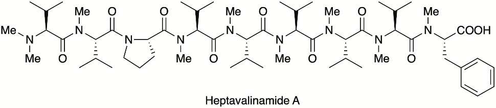 heptavalinamide A の化学構造