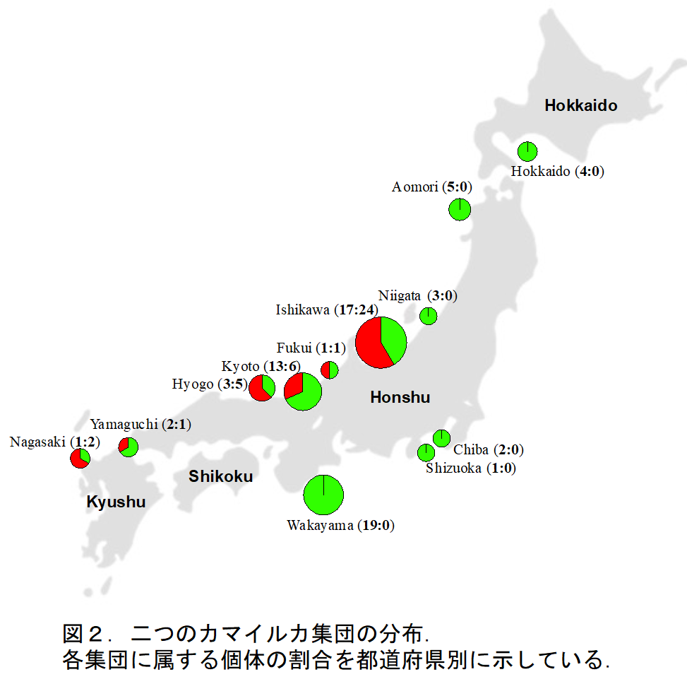 日本沿岸における2つのカマイルカ集団の分布