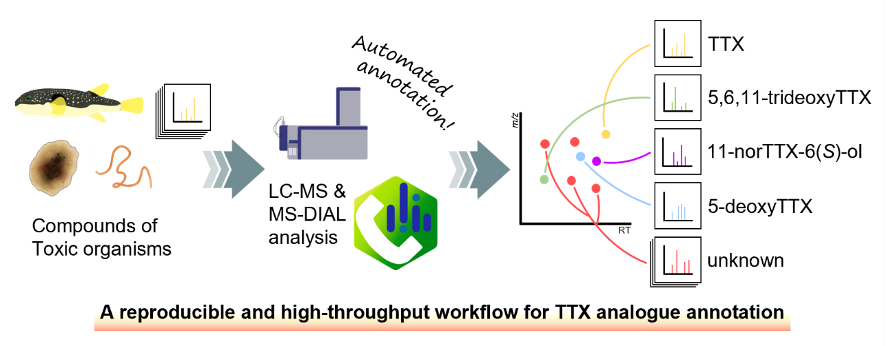 LC-MSとMS-DIALを用いたTTXアナログ解析ワークフロー