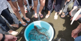 五感で学び体験する